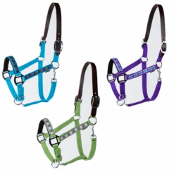 Millstone Rhombus Breakaway Halter