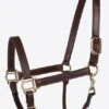 Millstone Leather Halter With Brass Hardware 1 Millstone Leather Halter With Brass Hardware -Amigo Sales Store 10315 16 17