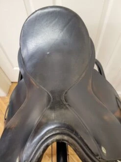 N/A Blue Ribbon Dressage 18" R -Amigo Sales Store 11813