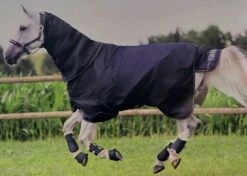 Eskadron Gamma Turnout