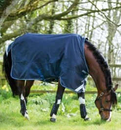 Amigo® Bravo 12 Original Turnout (0g Light)