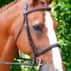 KL Select Black Oak Aster Hunter Bridle