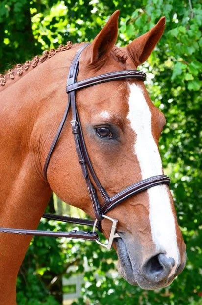 KL Select Black Oak Aster Hunter Bridle 3 KL Select Black Oak Aster Hunter Bridle