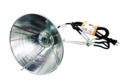Brooder Light With Clamp