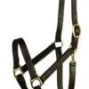 Gatsby Economy Leather Halter -Amigo Sales Store c282987