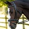 KL Select Italia Pirouette Bridle -Amigo Sales Store dressage bridle 13 2