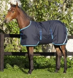 Amigo® Ripstop Foal Turnout (200g Medium)