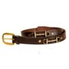 Tory Leather 1" Brass Snaffle Bit Belt With Brass Buckle -Amigo Sales Store ezgif.com gif maker 9