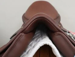 PESSOA LEGACY XP3 175OB -Amigo Sales Store img 2018