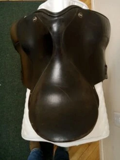 Kent Olympic Competition 17" XW -Amigo Sales Store img 20230916 113928