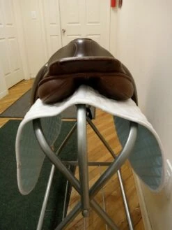 County Icelandic 18" XW -Amigo Sales Store img 20230916 132516