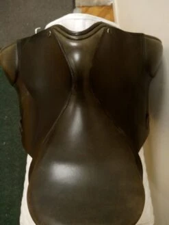 County Warmblood 17" W -Amigo Sales Store img 20230916 141853