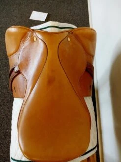 Beval LTD 16.5 N" -Amigo Sales Store img 20230920 111814