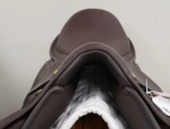 PESSOA VIVALDI 17.5 -Amigo Sales Store img 2040 1