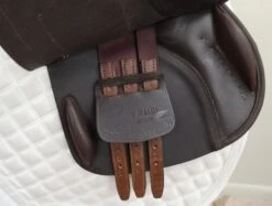 PESSOA VIVALDI 17.5 -Amigo Sales Store img 2044