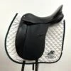 No Name Dressage 17" Wide (5") -Amigo Sales Store img 3448