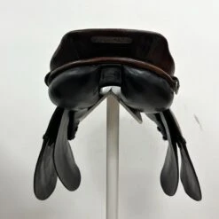 Courbette Merkur-DL 17" M -Amigo Sales Store img 3681 2