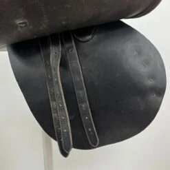 Clinton Northrop 16.5" M -Amigo Sales Store img 3698