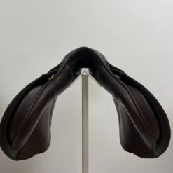 Falcon Hawk Event 17" M -Amigo Sales Store img 9775