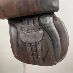 Falcon Hawk Event 17" M -Amigo Sales Store img 9776