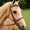 Arc De Triomphe Imperial Bridle With Raised Fancy Laced Reins