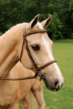 Arc De Triomphe Imperial Bridle With Raised Fancy Laced Reins