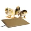 K&H Thermo-Peep Heated Pad™ -Amigo Sales Store k h thermo peep heated pad 2.gif