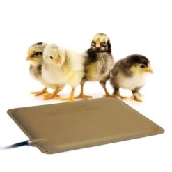 K&H Thermo-Peep Heated Pad™