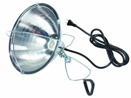 Little Giant Brooder Reflector Lamp With Clamp 3 Little Giant Brooder Reflector Lamp With Clamp
