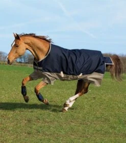 Amigo Mio® Turnout (200g Medium) -Amigo Sales Store navy tgan