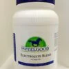 NEW! Dr. FeelGood Electrolyte Blend 5lb.