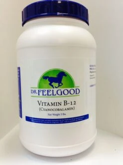 NEW! Dr. FeelGood Vitamin B12 5lb.
