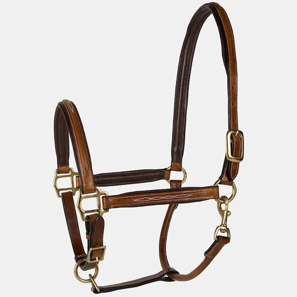 LÉTTIA Padded Leather Halter 3 LÉTTIA Padded Leather Halter