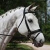 KL Italia Pirouette Weymouth Bridle -Amigo Sales Store pirouette w plain bb