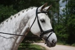 KL Italia Pirouette Weymouth Bridle