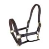 RHC Padded Leather Halter With Fancy Stitching -Amigo Sales Store rs1518