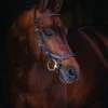 Rambo® Micklem Deluxe Competition Bridle -Amigo Sales Store sbab53