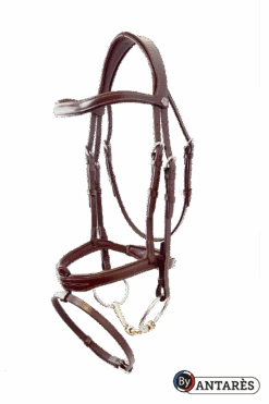 Antares Signature Flash Bridle