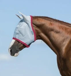 Amigo® Flymask