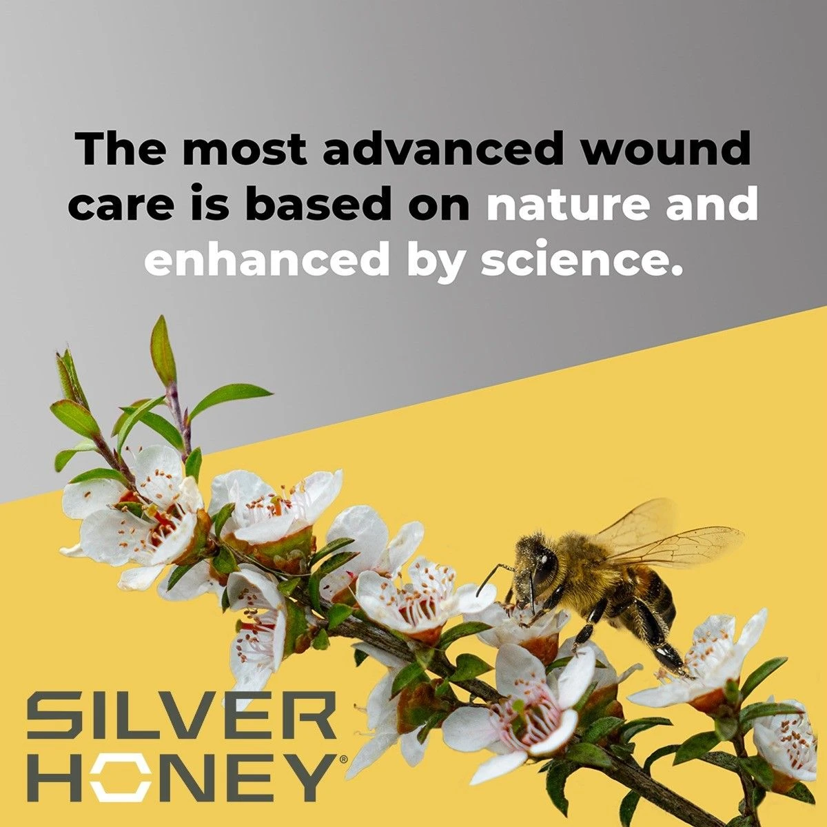Absorbine® Silver Honey® Rapid Skin Relief Medicated Shampoo 6 Absorbine® Silver Honey® Rapid Skin Relief Medicated Shampoo - Image 4