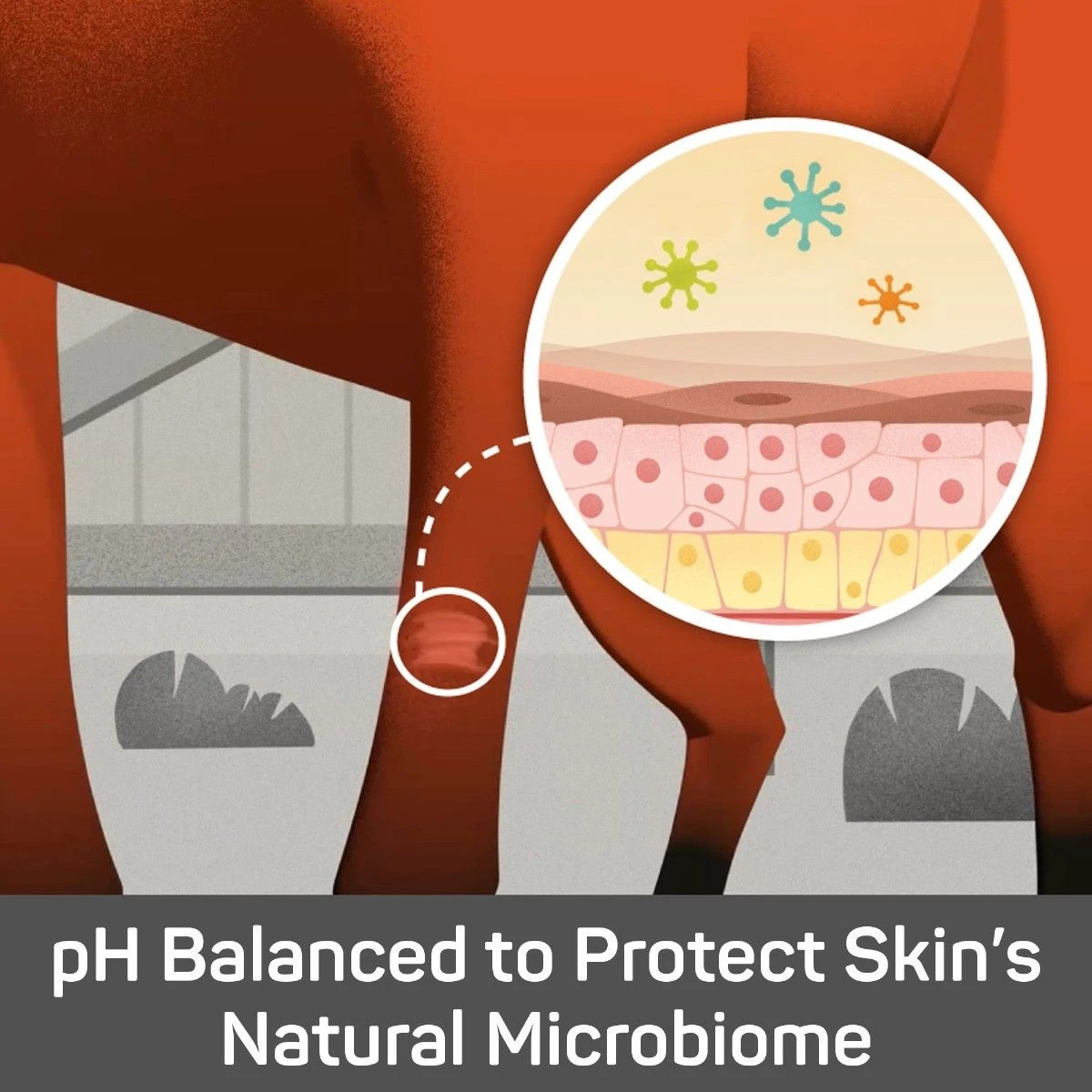 Absorbine® Silver Honey® Rapid Skin Relief Medicated Shampoo 5 Absorbine® Silver Honey® Rapid Skin Relief Medicated Shampoo - Image 3