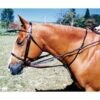 Tory Leather German Martingale & Reins - Center Buckle -Amigo Sales Store tory leather german martingale reins center buckle 2.gif