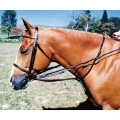 Tory Leather German Martingale & Reins - Center Buckle