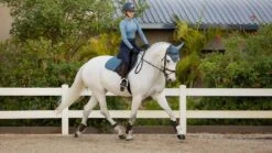 LeMieux Loire Classic Close Contact Square Pad -Amigo Sales Store tracyrobertson april2021 028 1