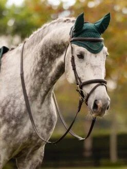 LeMieux Classic Fly Hood -Amigo Sales Store tracyrobertson aw23 188 copy