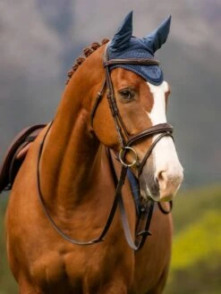 LeMieux Classic Fly Hood -Amigo Sales Store tracyrobertson aw23 44 copy