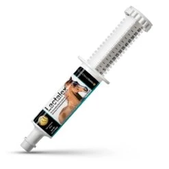 Lactalex™ Pre-Event Muscle Function & Recovery Paste 60cc