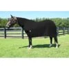 WikSmart Horse Cooler 2 WikSmart Horse Cooler -Amigo Sales Store wiksmart black