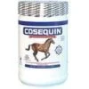 Cosequin 1400gm