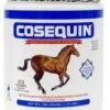 Cosequin 700gm 2 Cosequin 700gm -Amigo Sales Store yhst 130090801024353 2269 23802659